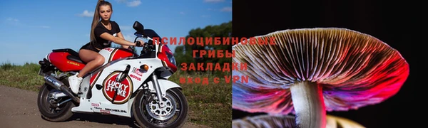 jwh Беломорск