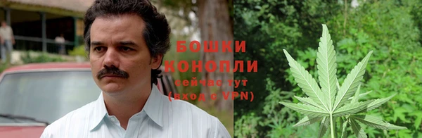 mix Белокуриха