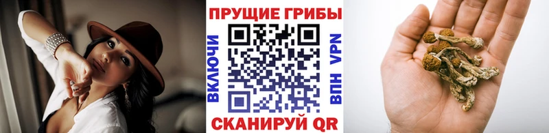Галлюциногенные грибы ЛСД  Острогожск 